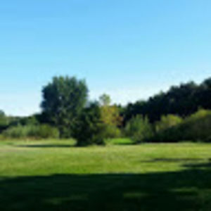 Meet your Posher, Addison